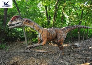 Wholesale Giant Dinosaur Models With Professional Silicon For Decoration from china suppliers
