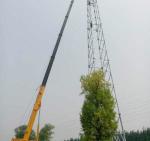 QAY 220 All Terrain Crane South Africa Customerized Color 55 Ton Truck Crane for