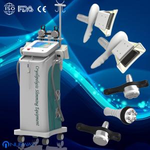 Wholesale 2014 newest personal Cryolipolysis Slimming Machine with 5 handles from china suppliers