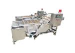 Ozone Bubble Chili Raisin 500kg/h Mango Washing Machine