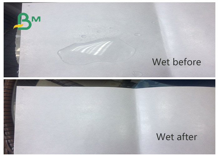 PE coated white kraft paper