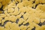 150cm Jacquard Suede Bonded Sherpa Fabric , Wool Solid Sherpa