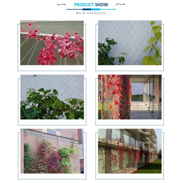 Flexible Green Wall Cable Trellis System , Green Wall Wire Trellis System