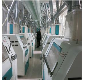 Wholesale High Precision Automatic Noodle Making Machine Low Energy / Labor Consumption from china suppliers