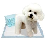 Agility Training Disposable Pet Pads White 45x60cm 33x45cm 60x60cm