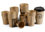 12OZ DISPOSSIBLE PAPER CUPS WITH LIDS FOR HOT DRINKS PAPER TO GO COFFEE CUPS