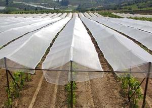 Wholesale Water Resistance Outdoor Mosquito Netting , 1.3 * 1.3mm Small Shed Fly Insect Screen Mesh from china suppliers