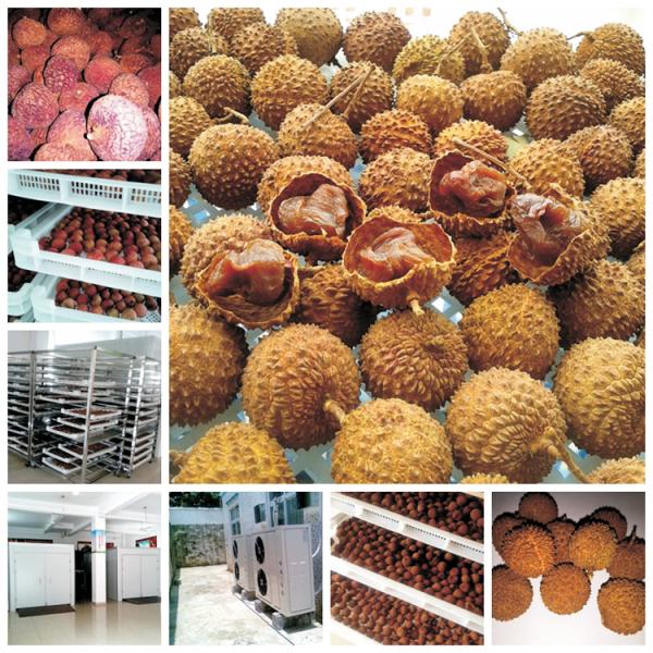 Large Capacity 1000kg/hour CE/ISO9001 Certified Fruit Drying Machine with Low Temperature Drying (10-30℃) and Heat Pump Dehumidifier