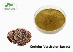 China Food Coriolus Versicolor Extract Powder 10% Polysaccharides Boosting Immunity on sale