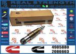 Fuel Injectors 2872544 2031835 2030519 4905880 For Cummins