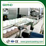 Automatic Vertical Carton Box Packing Machine