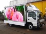 Full Color P8 SMD 3535 1/4 Scan Led Mobile Billboard on Vehicles INDIA