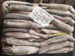 Whole Round BQF All Size Good Color Argentina Frozen Illex Squid