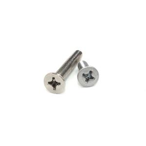 Wholesale Customization Stainless Steel Phillips Flat Head Countersunk Head Self Tapping Screw from china suppliers