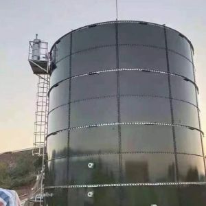 Wholesale Anaerobic Digester Equipment CSTR Digester With Heat Exchanger from china suppliers