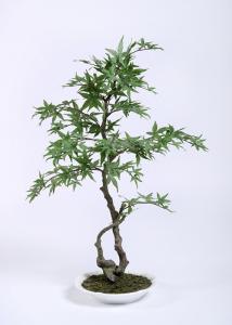 Wholesale Lush Artificial Maple Bonsai , Bonsai Artificial Pret Botanical Mix Indoor Decor from china suppliers
