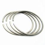 For HINO W04C-T Piston Rings Oil Control Rings Serial OD-HI43