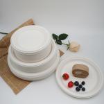9 Inch Eco Biodegradable Bagasse Tableware 10in Round Sugarcane Waste Plates