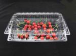 Eco Friendly Disposable Clear Plastic Blister Plastic Packaging Boxes 500g