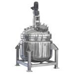 Customized Capacity Stainless Steel Vessel Reactor