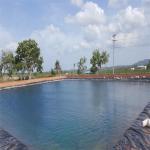 Composite Geomembrane HDPE 2mm for Thickness 0.3mm-3.0mm HDPE Geomembrane
