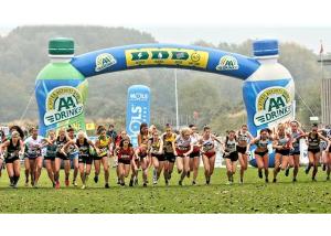 Wholesale Customized Giant Inflatable arch gate promotion Inflatable arch gate for outdoor Event from china suppliers
