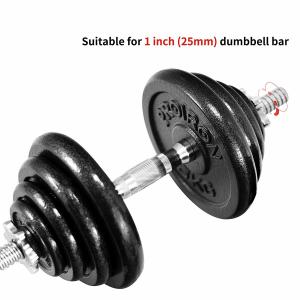 China Anti Rust Cast Iron 25kg 5Kg Bumper Weight Plates on sale