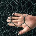 Pvc Coated 2mm Gabion Mesh Basket Hexagonal Wire Walls