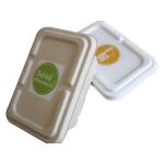 Factory 100% Biodegradable Compostable Bagasse Pulp Packaging Food Container