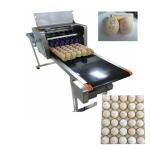 Flexible Egg Marking Equipment With Six 45ml Various Colors Cartridges