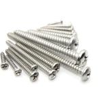 Finish OEM ODM Stainless Steel Phillips/Torx Pan Washer Head Self Tapping