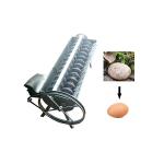 Scrubbing Agricultural Products Potatoes Carrots Eggs Fruits Potato Nylon