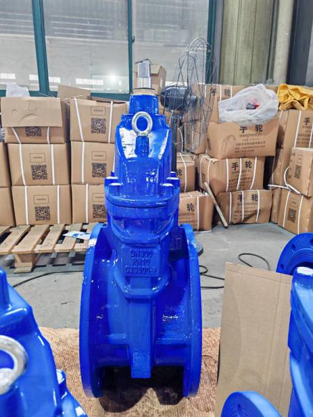 DN50-DN800/2''-32'' Soft Seat Gate Valve With PN10/PN16/125lb-150lb Pressure