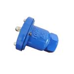 OEM Singles Orifice Air Release Valve Irrigation System PN16