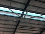 Big Industrial Ceiling Fan with 7 Meters Diameter and 1.5kw Gearbox Motor