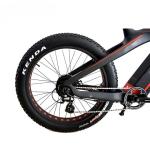 Electric Bike with 48V 750W 1000W Battery 26"*4.0 Fat Tire Spider Dynamic Shock