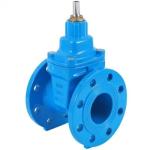 Customized Metal Seated Two-Way Sealing Direct-Acting Drain Valve for General