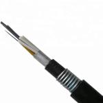 Double Sheath 24 Cores GYTA53 Underground Fiber Optic Cable Single Mode