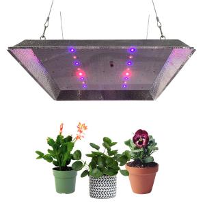 Wholesale Marshydro Square 3x3 330w Quantum LED Grow Lights from china suppliers