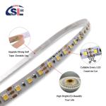 2835 CCT LED Strip 120Leds/m Dual White Color Temperature Adjustable Flexible