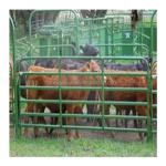 1.2m Height Livestock Hinge Joint Knot Veld Span Galvanized Wire Fence for