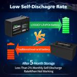 RV Solar Lithium Phosphate Battery Marine 12V 8Ah Lead Acid Battery Replacement