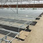 Vegetable Fruits Flowers Glass Agriculture Greenhouse with Inside Outside