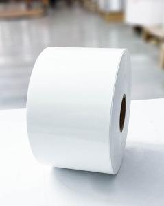 Wholesale Clear BOPP Adhesive Jumbo Roll Labels Paper Synthetic Movable Glue from china suppliers
