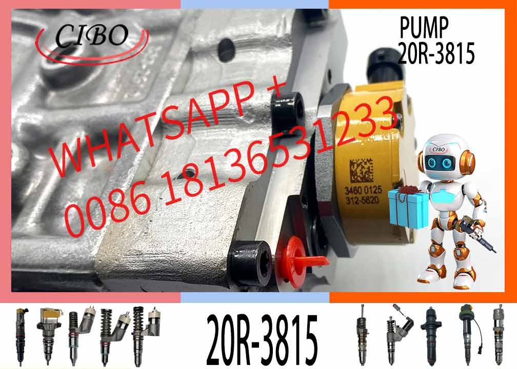 High Quality Excavator Part Excavator Fuel Pump 20R-3815 C6.6 C6.4 Engine Fuel injection Pump 20R3815 for 320D 938H