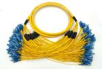 SC UPC G652D 12 Branches 144 Core Fiber Optic Patch Cords