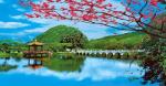 PLASTIC LENTICULAR 3d picture lenticular printing price pet lenticular 3d wall
