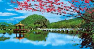Wholesale PLASTIC LENTICULAR beautiful flower 3d picture pet lenticular lens home decor wall picture 3d prints from china suppliers