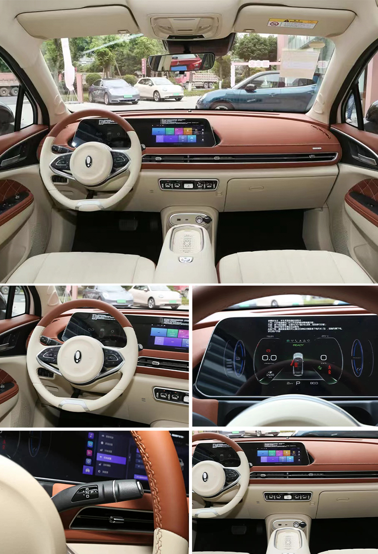 2023 ORA Electric SUV Car with Automatic Air Conditioner and Car Entertainment System