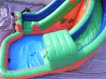 Forest Inflatable Water Slide (CYSL-20)